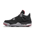Air Jordan 4 Retro Golf Bred