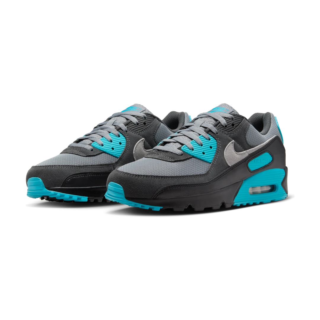 Nike Air Max 90 Cool Grey Dusty Cactus Black Wolf Grey, Cool Grey/Dusty Cactus/Black/Wolf Grey (DM0029-013)