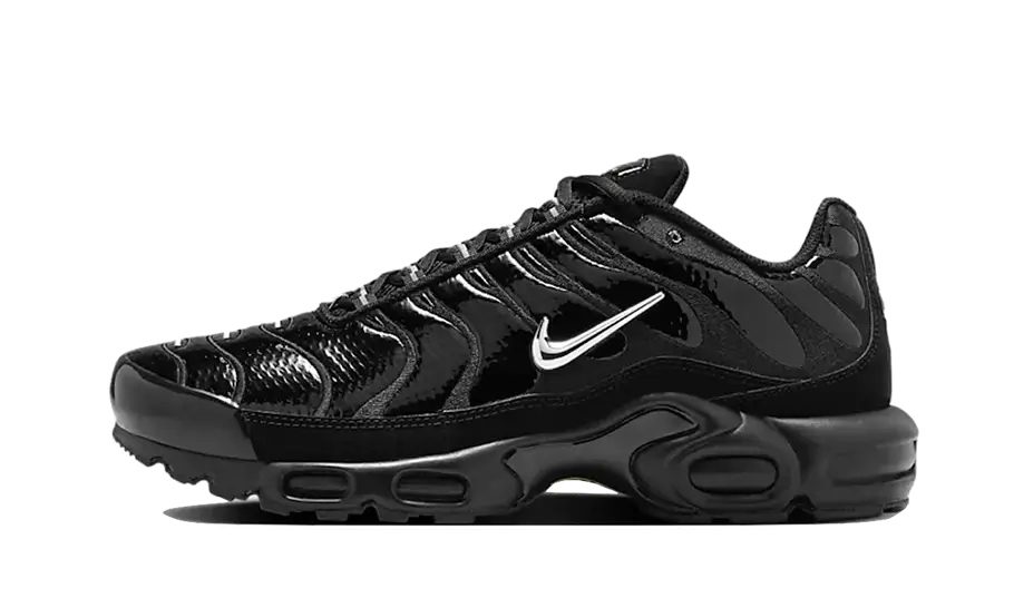 Nike Air Max Plus Black Chrome (FJ2591-001) - Sneak