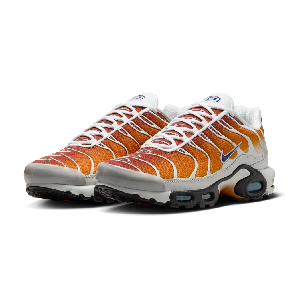 Nike Air Max Plus One Block Down Chutney, Chutney/Photon Dust/Regency Purple (FZ3308-700)