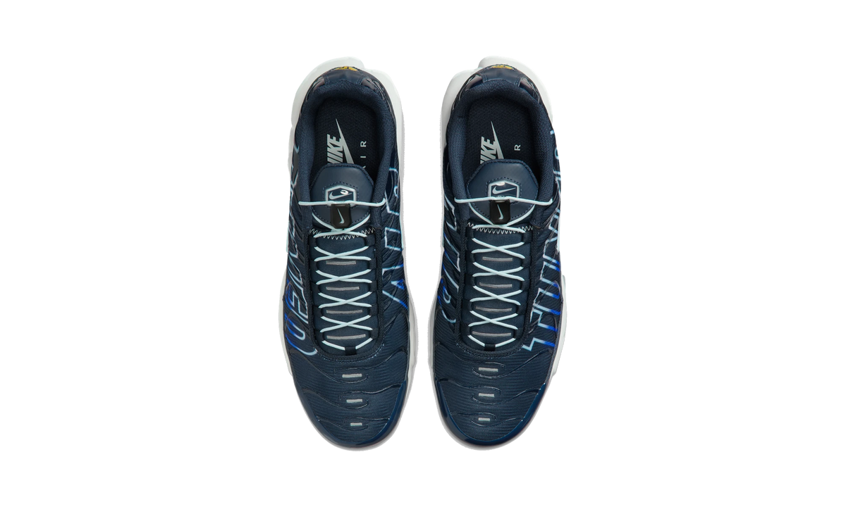 Nike Air Max Plus Tuned Air Obsidian