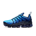 Nike Air VaporMax Plus Obsidian