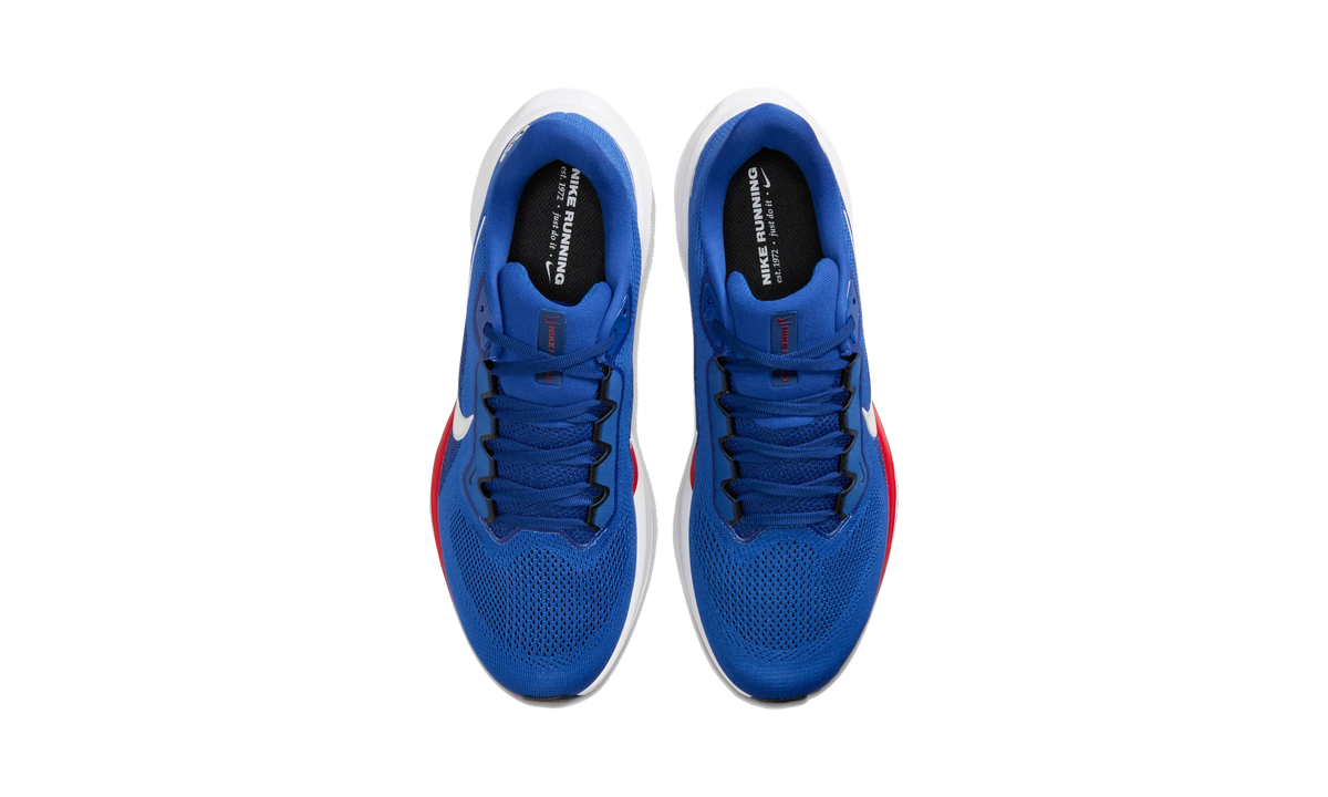 Nike Air Zoom Pegasus 41 New York Giants (2025)