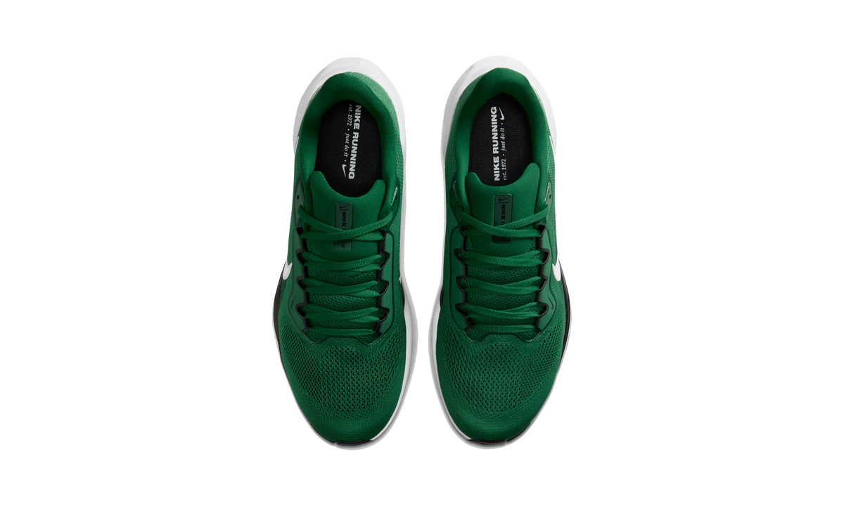Nike Air Zoom Pegasus 41 New York Jets (2025)