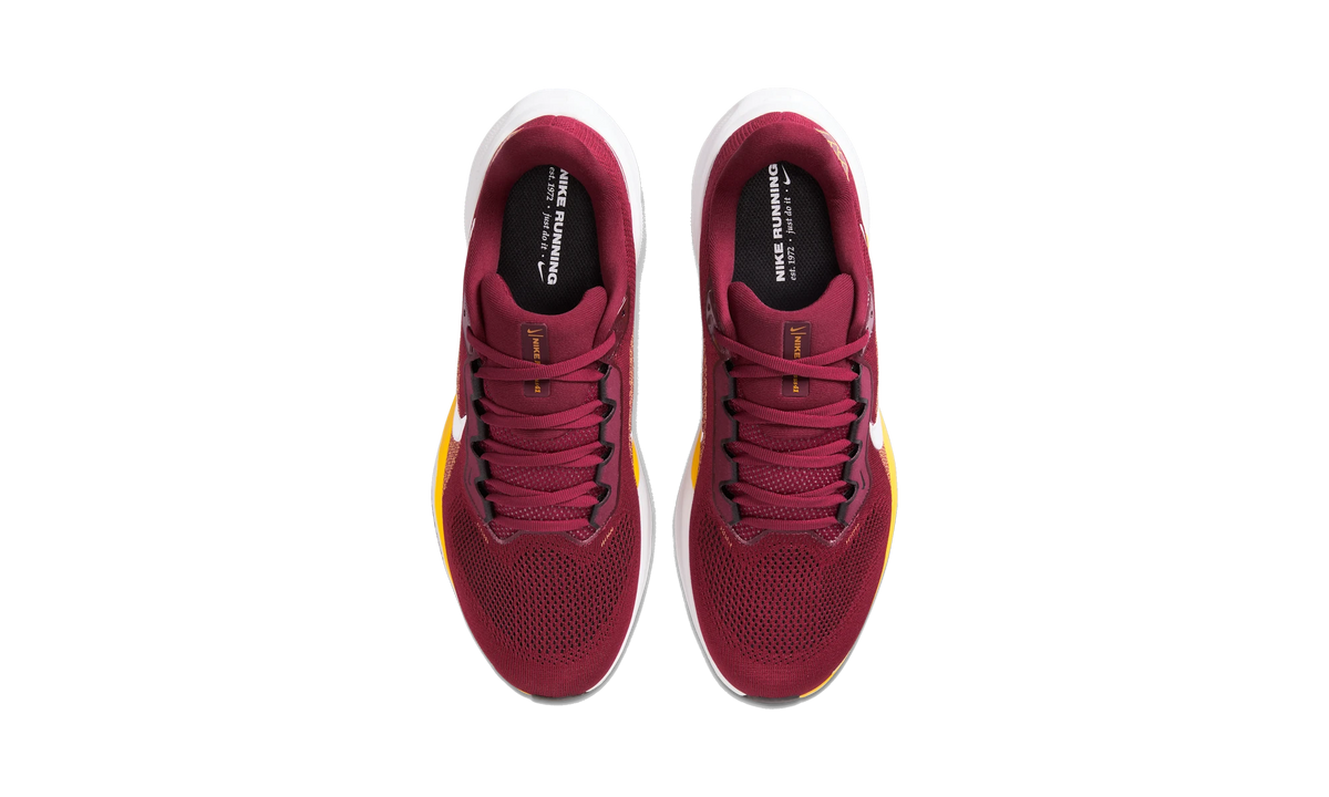 Nike Air Zoom Pegasus 41 Washington Commanders (2025)