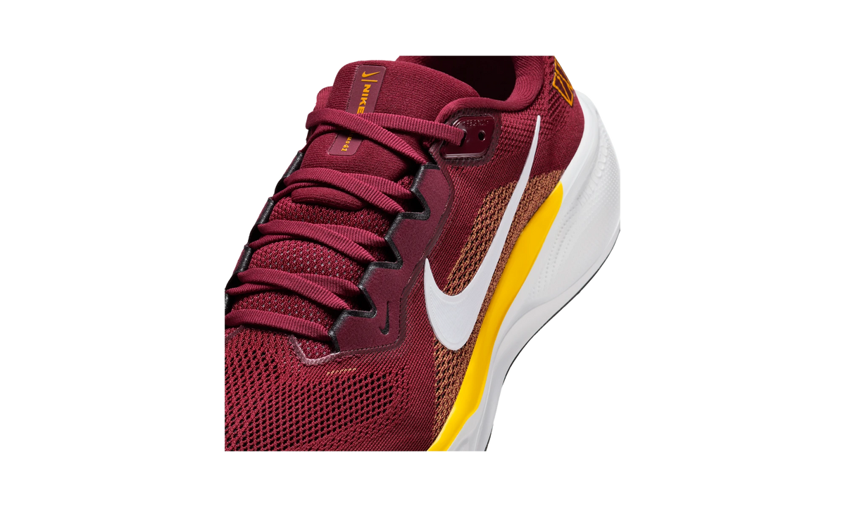 Nike Air Zoom Pegasus 41 Washington Commanders (2025)