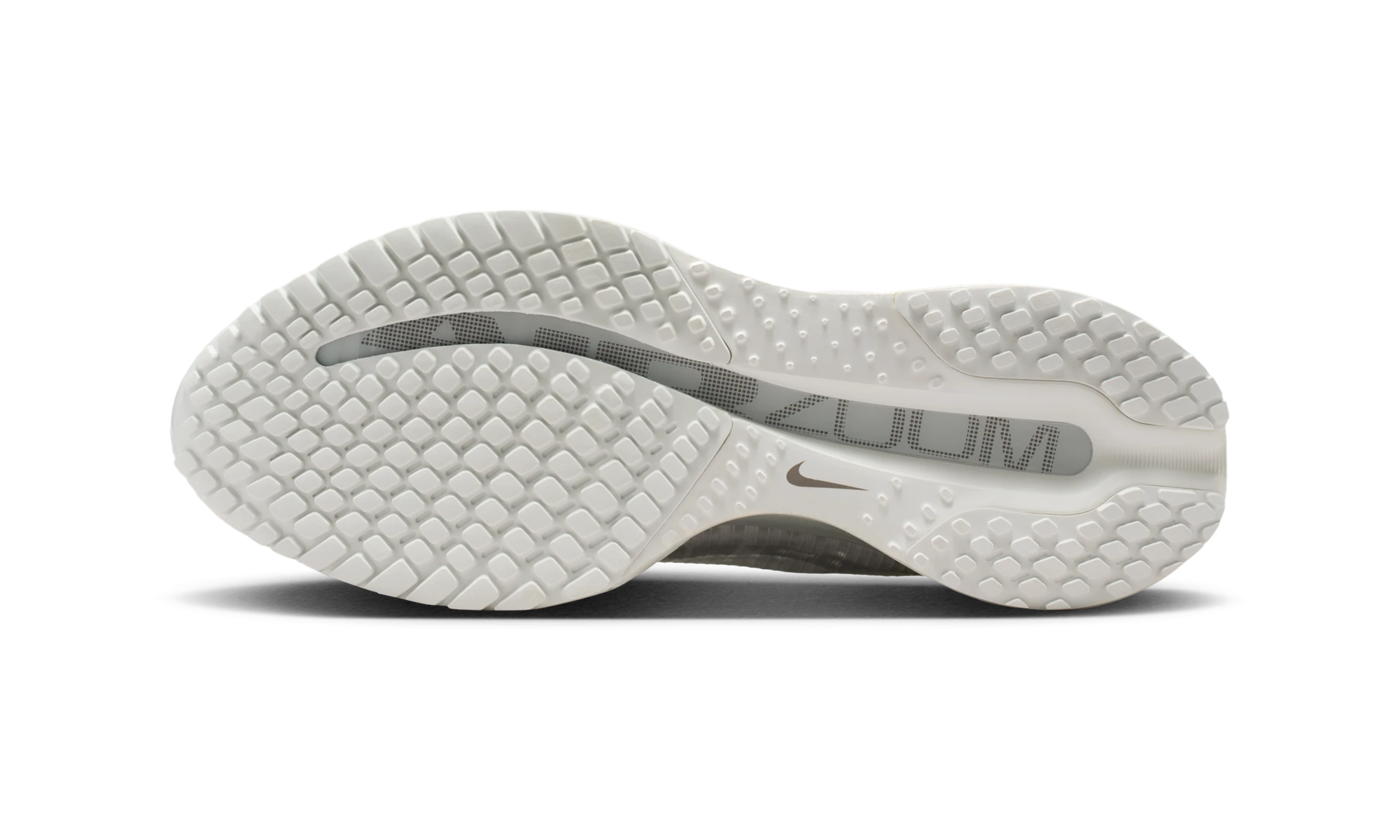 Nike Air Zoom Pegasus Premium Summit White Iridescent