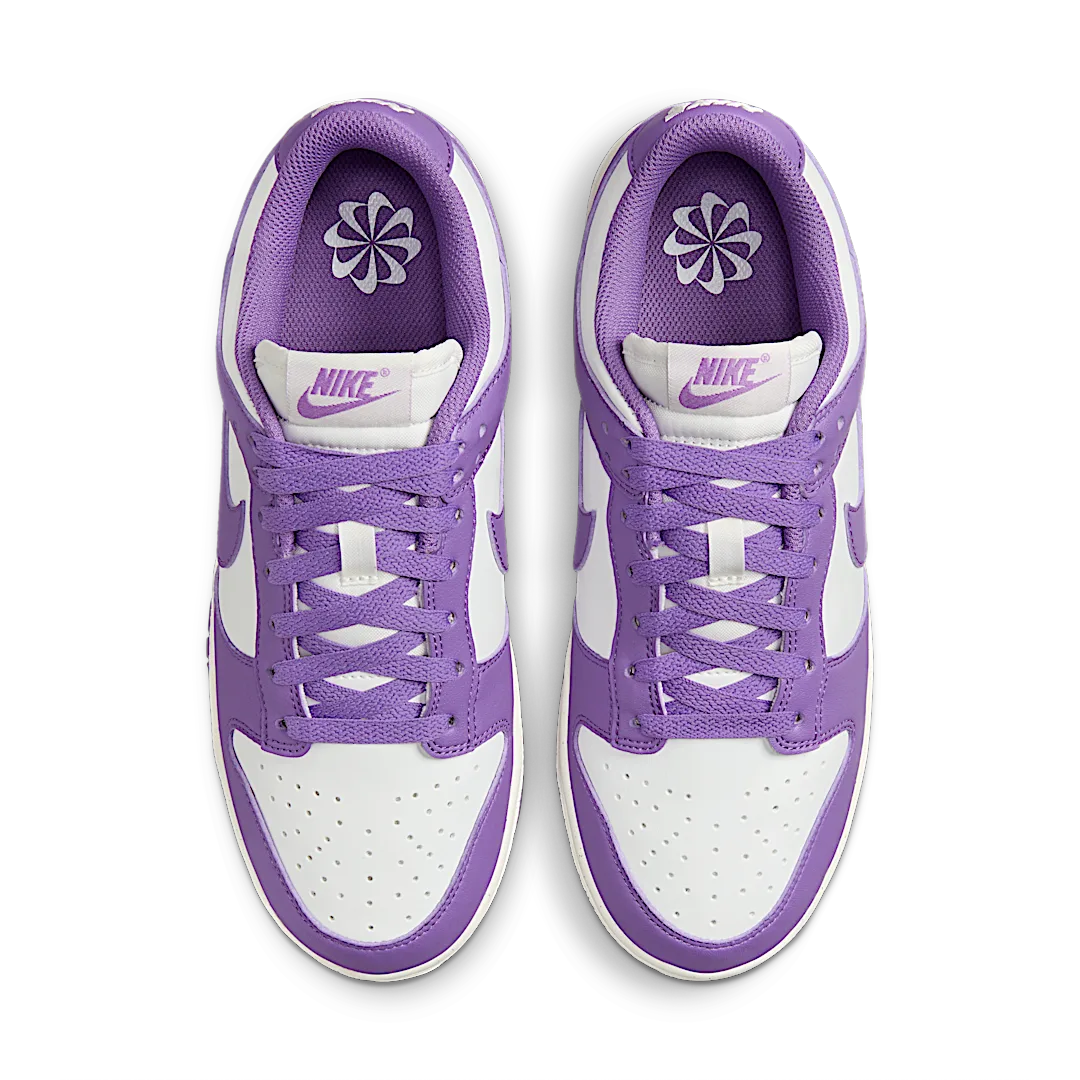 Nike Dunk Low Next Nature Black Raspberry, Summit White/Black Raspberry-Sail-Black (DD1873-108)