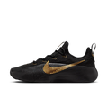Nike LeBron TR 1 Black Metallic Gold