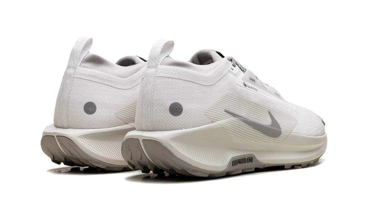 Nike React Pegasus Trail 5 Gore-Tex SP Summit White College Grey Bone