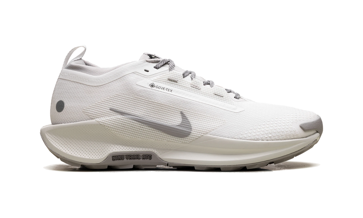 Nike React Pegasus Trail 5 Gore-Tex SP Summit White College Grey Bone
