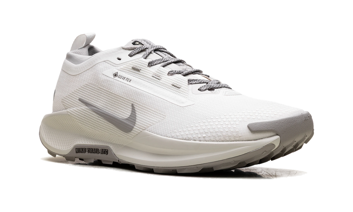 Nike React Pegasus Trail 5 Gore-Tex SP Summit White College Grey Bone
