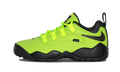 Nike SB Darwin Low Supreme Volt