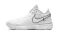 Nike Zoom LeBron NXXT Gen White Metallic Silver