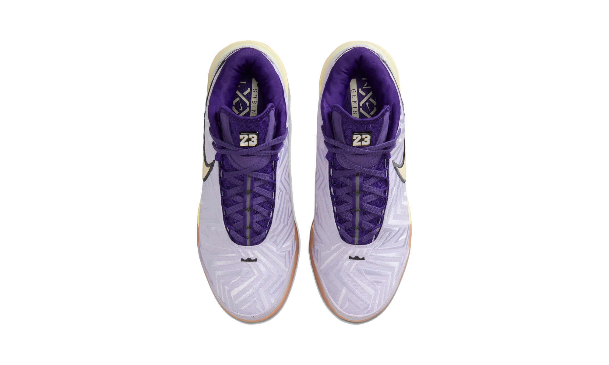 Nike Zoom LeBron NXXT Genisus Amethyst Tint Court Purple