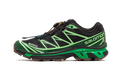 Salomon Advanced XT-6 Gore-Tex Eden Green Ash