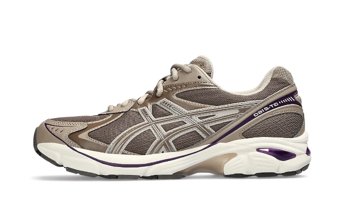 ASICS GT-2160 Dark Taupe Purple, Dark Taupe/Taupe Grey (1203A320-251)