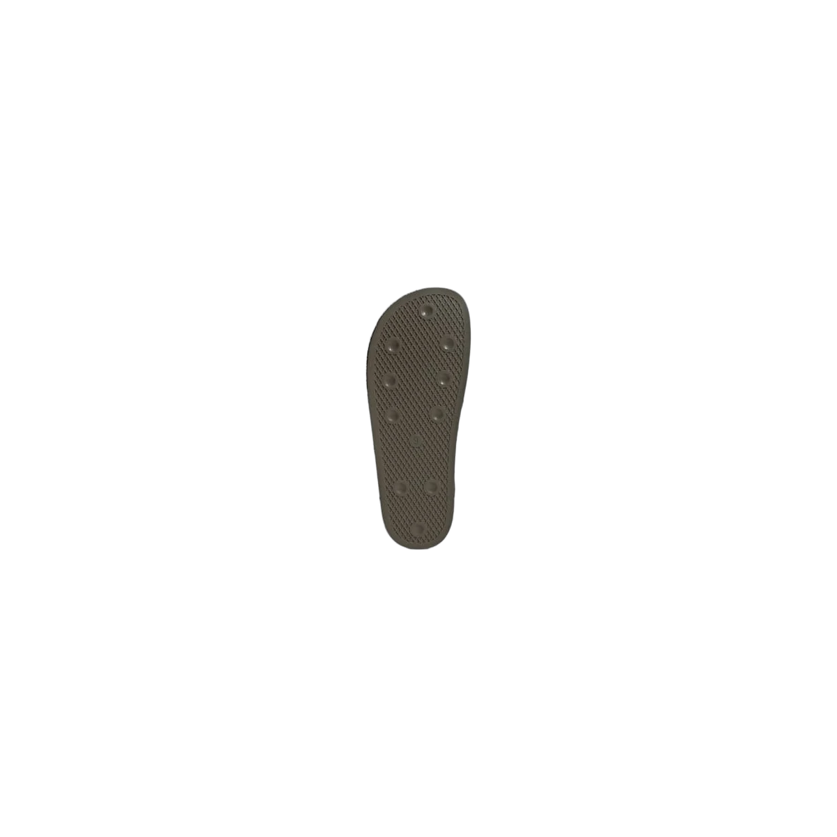 Adidas Adimule Branch Cardboard