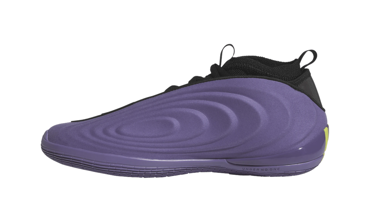 Adidas Harden Vol. 10 Matte Purple