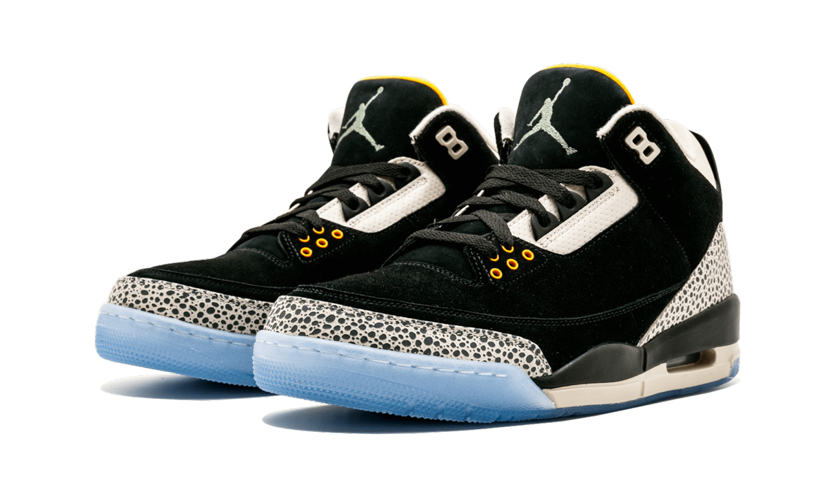 Air Jordan 3 Retro & Nike Air Max 1 atmos Pack