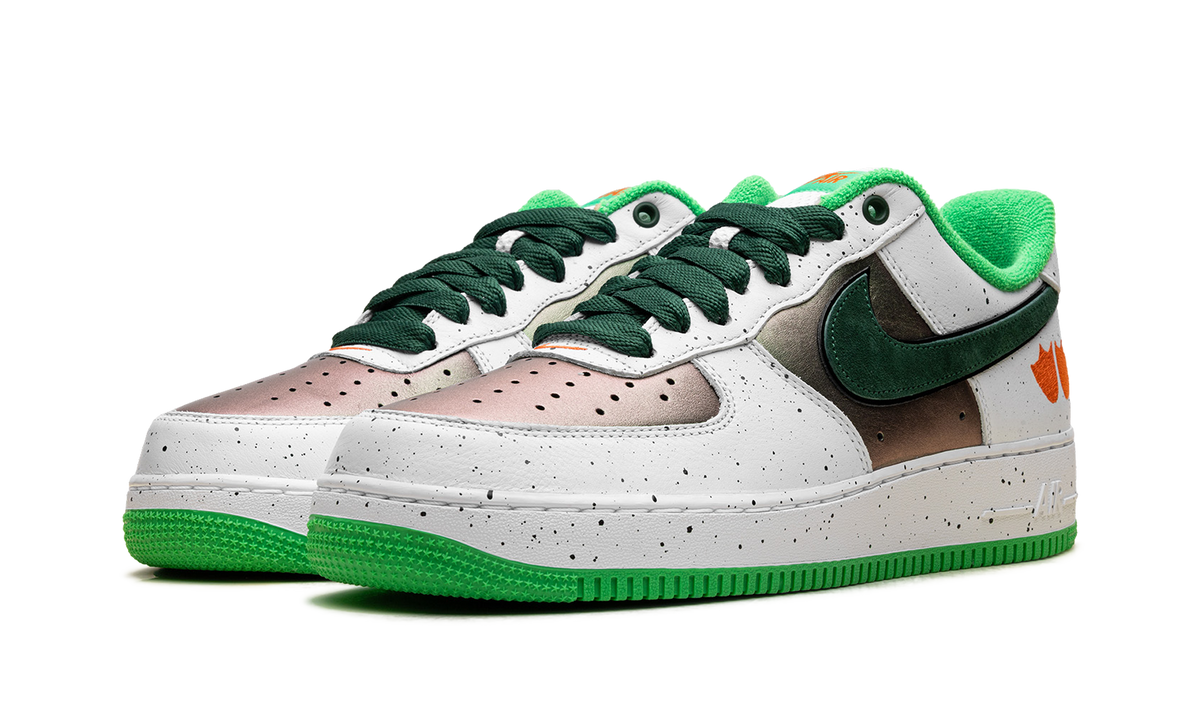 Nike Air Force 1 Low Ducks of a Feather University of Oregon Egg or Duck