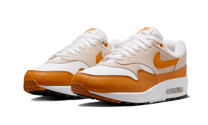 Nike Air Max 1 Bronze, Light Orewood Brown/White/Black/Bronze (DZ4549-110)