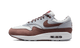 Nike Air Max 1 Premium Shima Shima (2023)