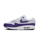 Nike Air Max 1 SC Field Purple