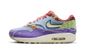 Nike Air Max 1 SP Concepts Far Out (Regular Box)