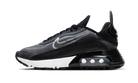 Nike Air Max 2090 Black White Black, Black/White (CK2612-002)