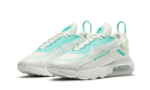 Nike Air Max 2090 Retro Futurism Sail, Sail/Aurora-Summit White-Black (CK2612-101)