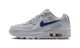Nike Air Max 90 Wolf Grey