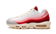 Nike Air Max 95 Anatomy of Air GID
