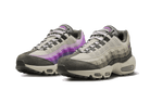 Nike Air Max 95 Viotech Anthracite, Anthracite/Viotech/Ironstone/Moon Fossil (DX2955-001)