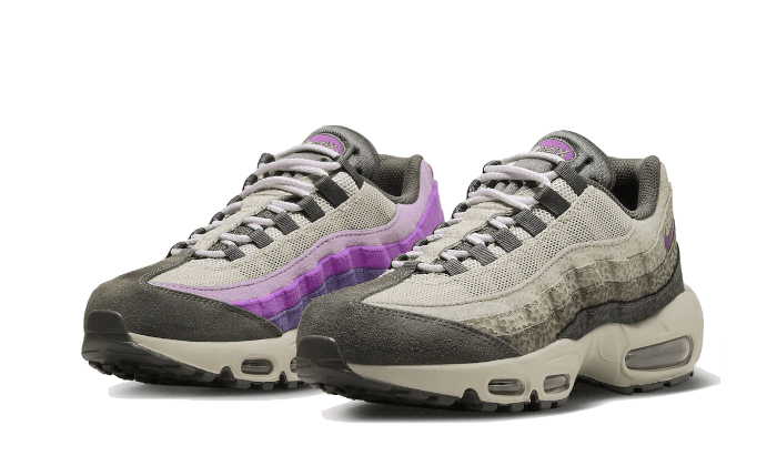 Nike Air Max 95 Viotech Anthracite, Anthracite/Viotech/Ironstone/Moon Fossil (DX2955-001)