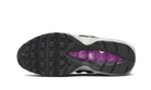 Nike Air Max 95 Viotech Anthracite, Anthracite/Viotech/Ironstone/Moon Fossil (DX2955-001)