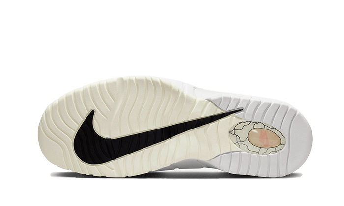 Nike Air Max Penny 1 PRM Photon Dust Summit White, Photon Dust/Summit White-Coconut Milk (DX5801-001)