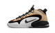 Nike Air Max Penny 1 Rattan