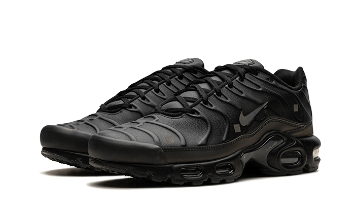 Nike Air Max Plus A-COLD-WALL Black, Black/Off Noir/Light Iron Ore/Obsidian/Cool Grey/Iron Grey (FD7855-001)