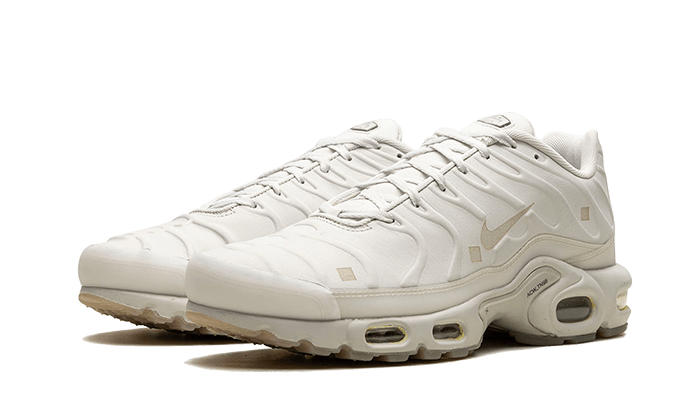 Nike Air Max Plus A-COLD-WALL Platinum Tint, Platinum Tint/Light Bone/Black/Stone/Light Orewood Brown/White (FD7855-002)