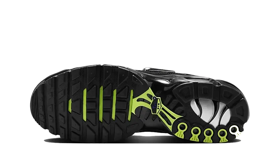 Nike Air Max Plus Black Chrome, Black/Volt/Concord/Metallic Silver (FJ2591-001)