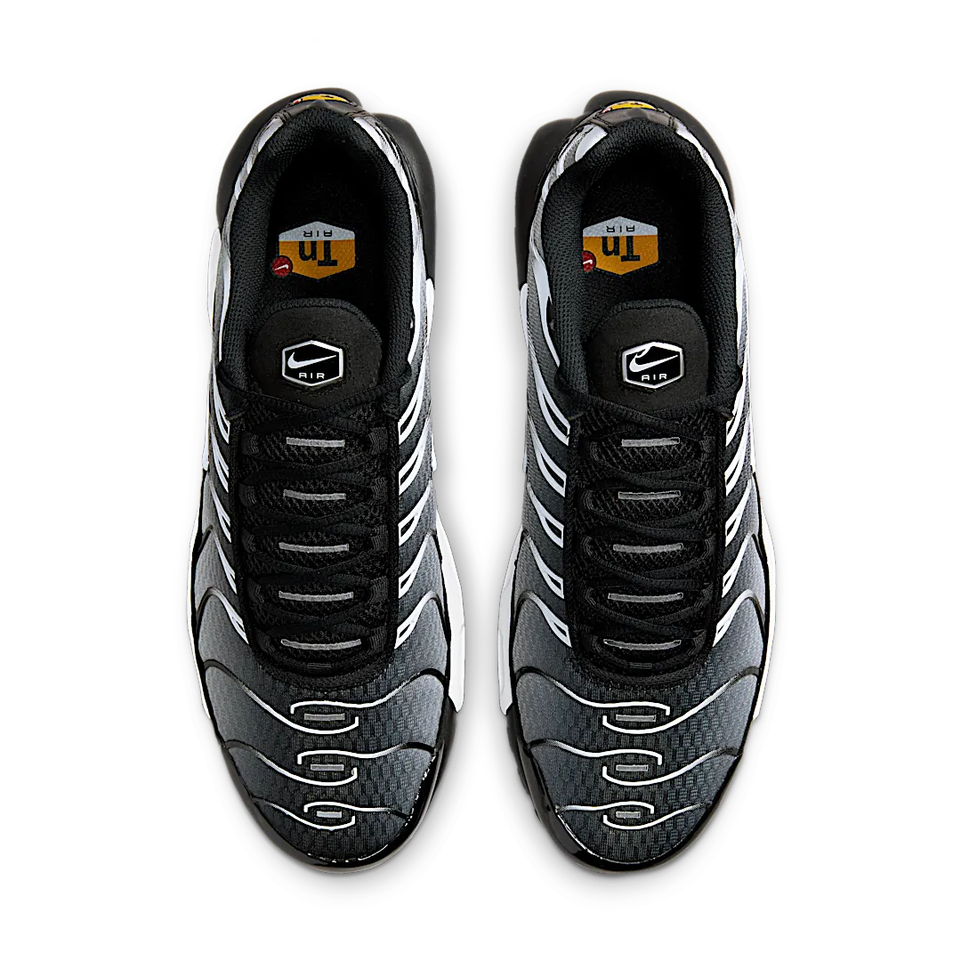 Nike Air Max Plus Black Silver White