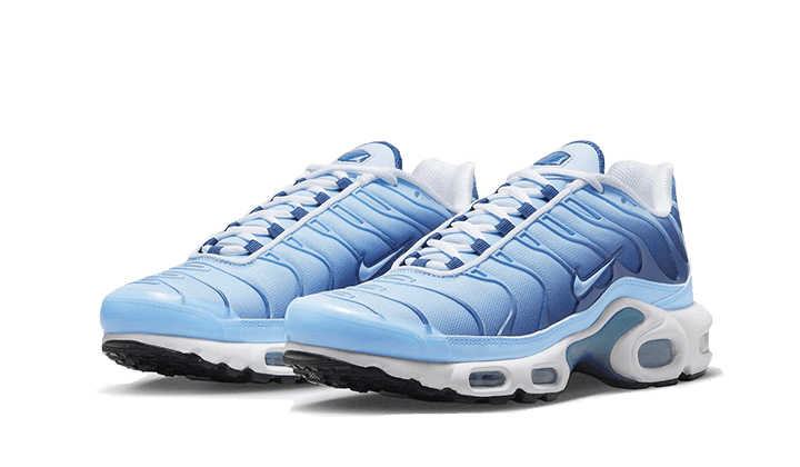 Nike Air Max Plus Celestine Blue, University Blue/White/Deep Royal Blue/Ice Blue. (FJ4736-400)