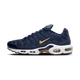 Nike Air Max Plus FFF