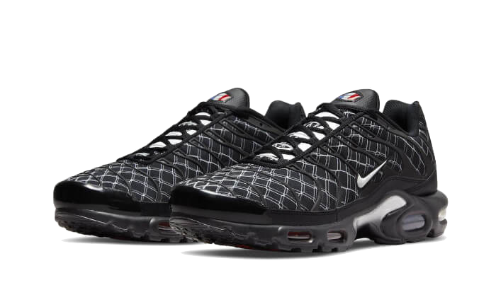 Nike Air Max Plus France, Black/Silver/White (DV3194-001)