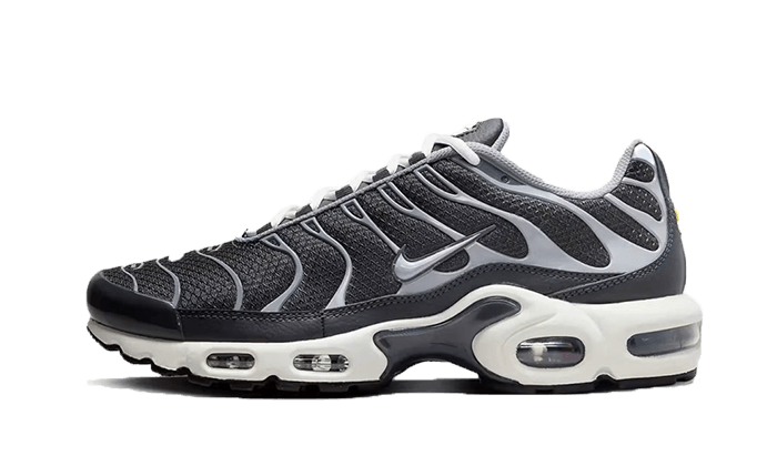 Nike Air Max Plus Greyscale Cool Grey, Cool Grey/Grey (DZ2655-001)