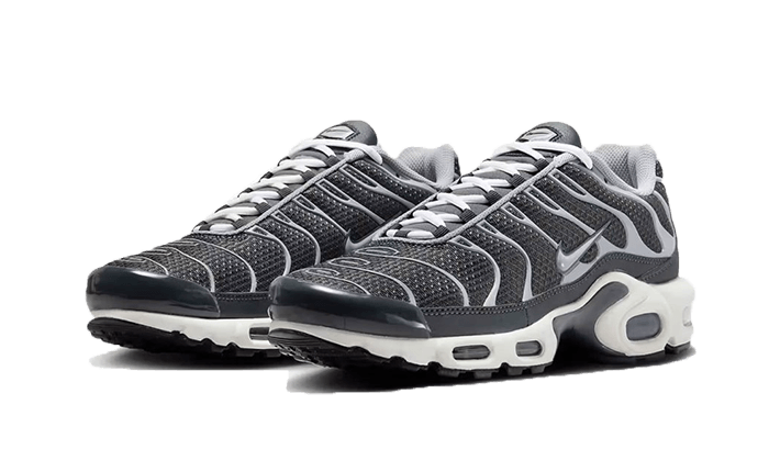 Nike Air Max Plus Greyscale Cool Grey, Cool Grey/Grey (DZ2655-001)