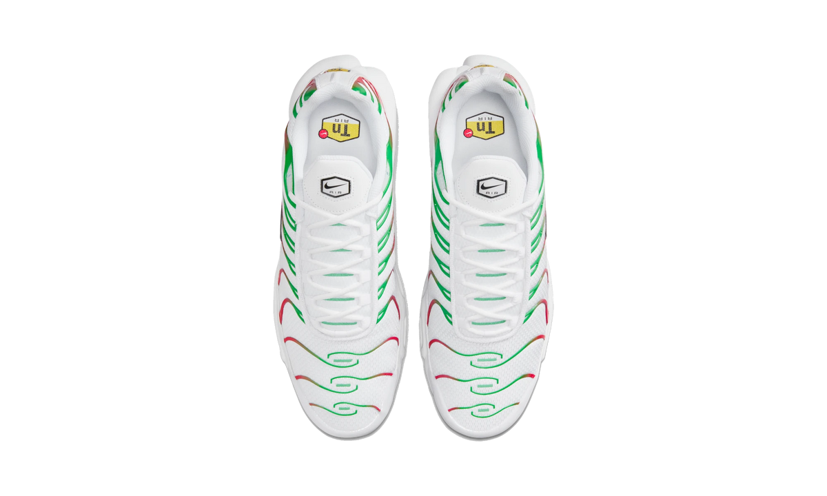 Nike Air Max Plus Italy