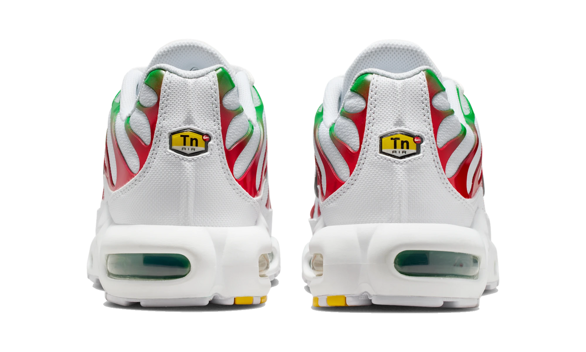 Nike Air Max Plus Italy