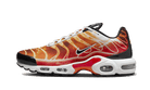 Nike Air Max Plus Light Photography, Multi Color (DZ3531-600)